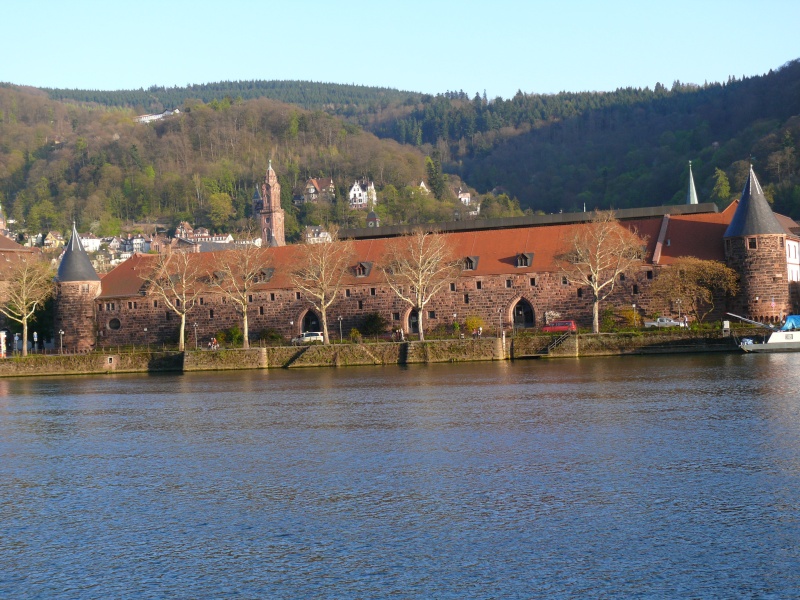 Heidelberg_03.JPG