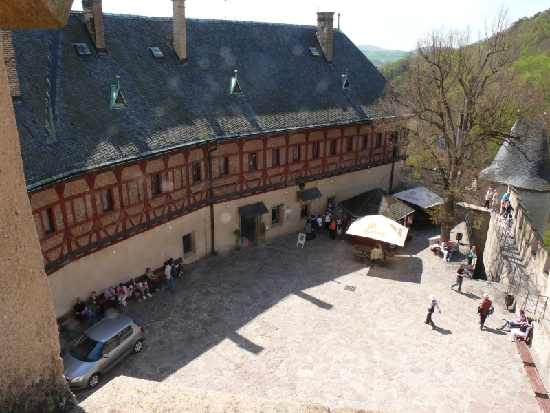 22 La basse-cour et ses volailles touristiques.JPG