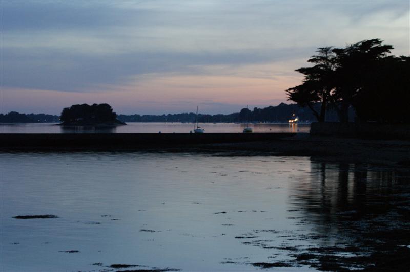DSC01397 (Medium).JPG