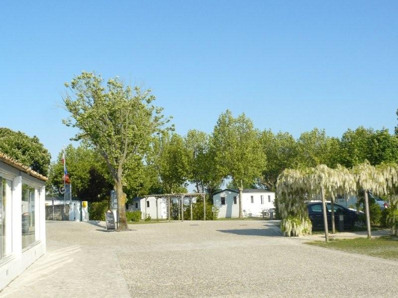 L'accueil