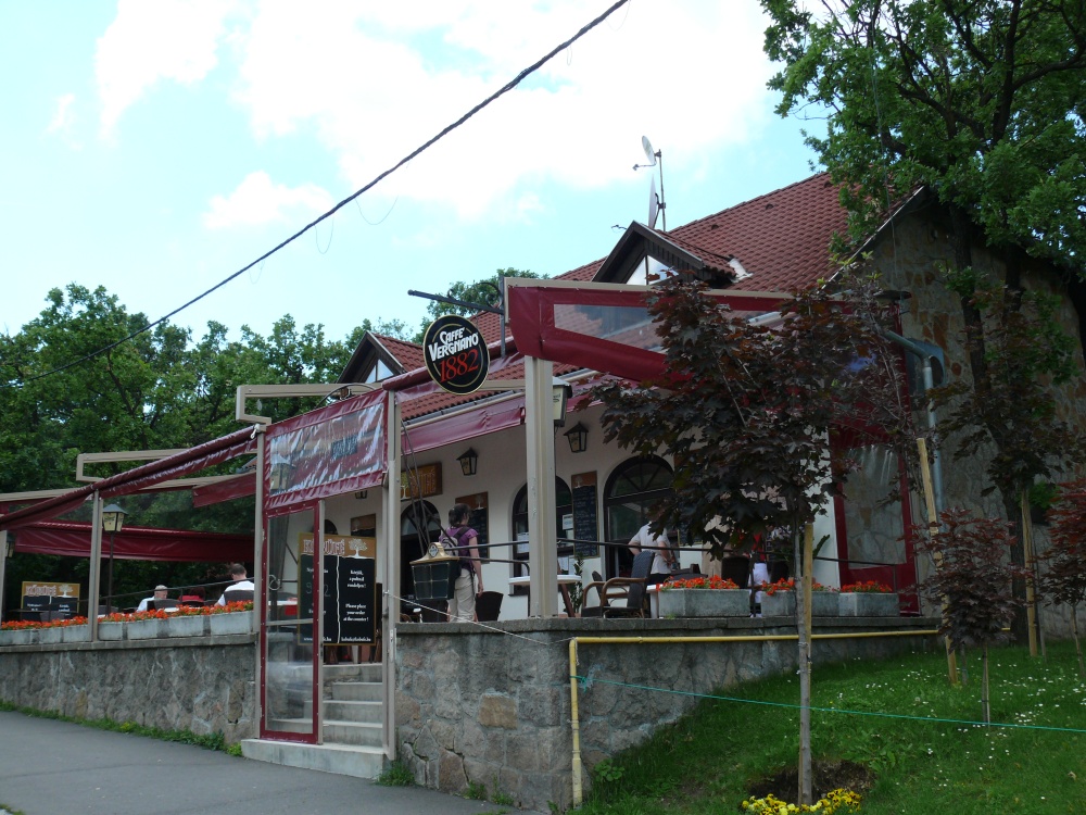 Train des pionniers_03.JPG