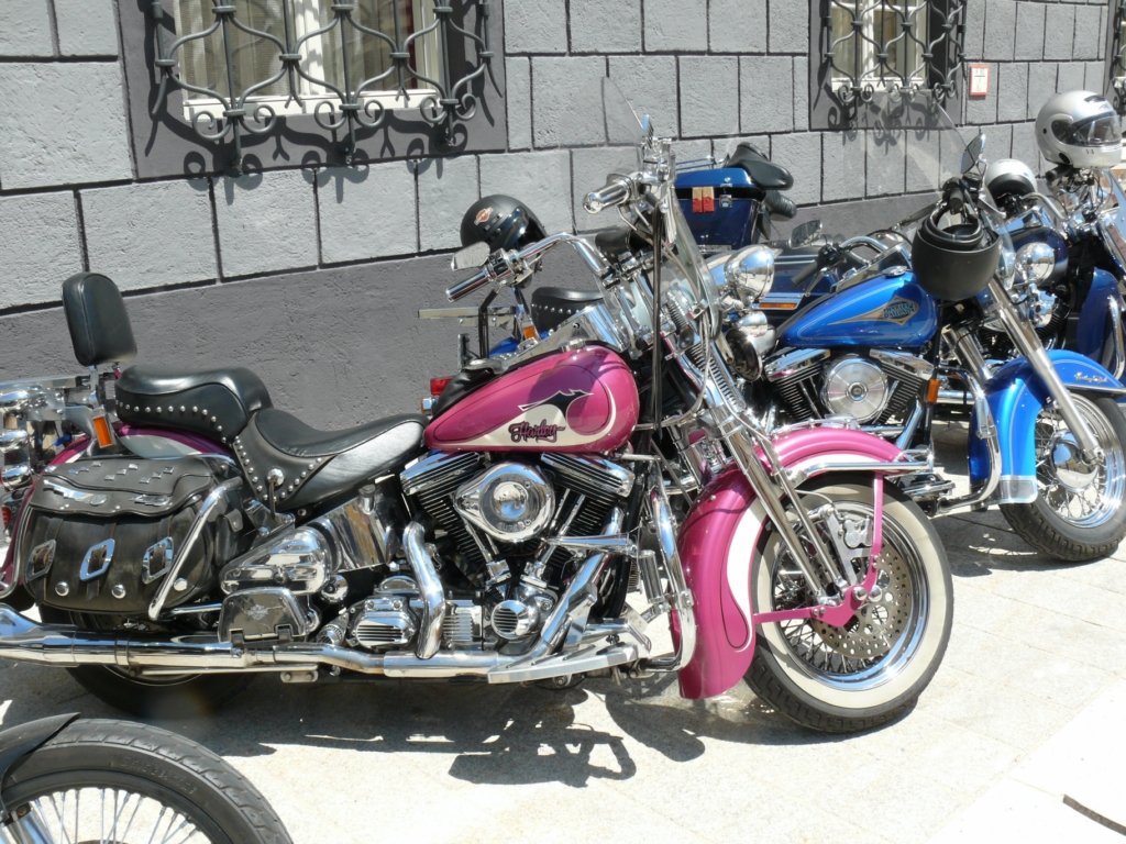 2_Harley Davidson_02.JPG