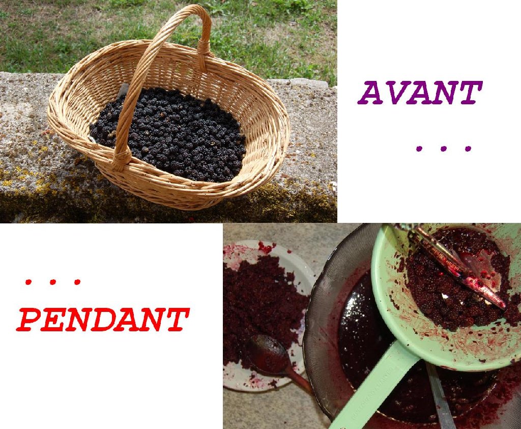 Juin 2010 022 (Medium).jpg