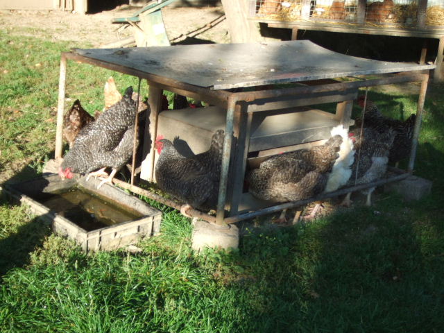 DSCF2702.JPG