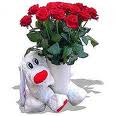 Rien que pour vous , , ,