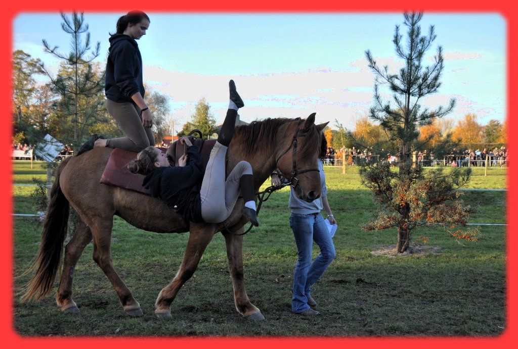 Entrainement à la voltige