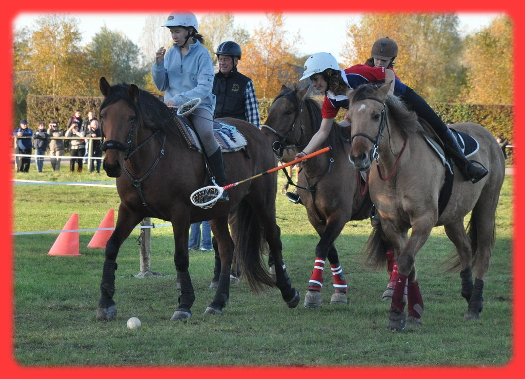 Un jeu très spectaculaire, inspiré du polo ; le maillet est remplacé par une épuisette