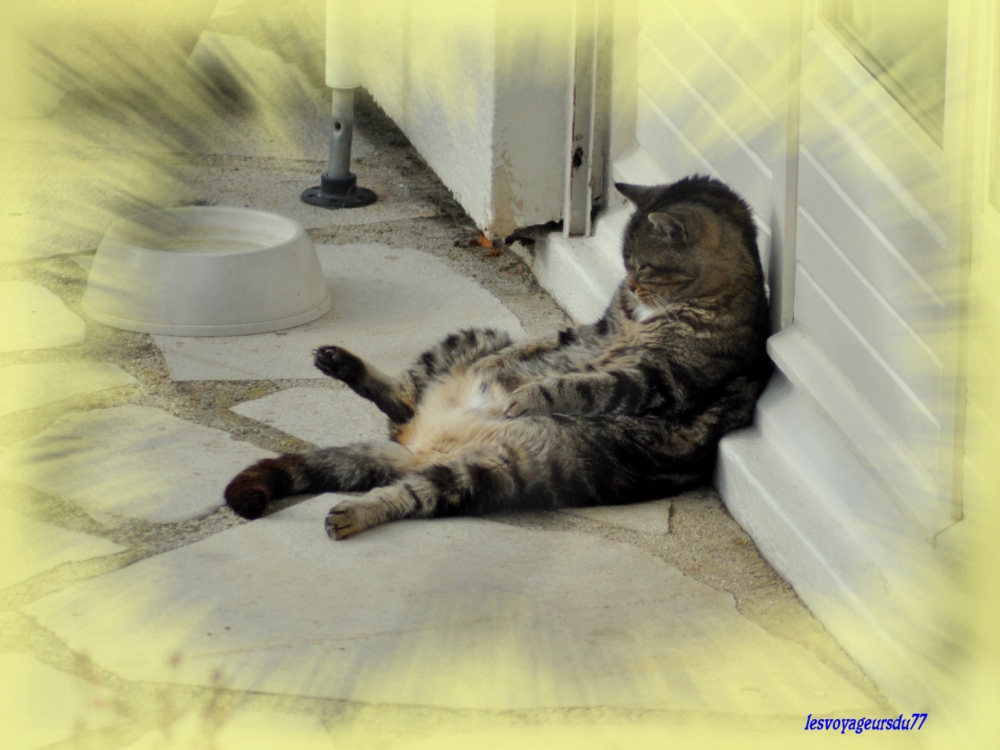chat cool.jpg
