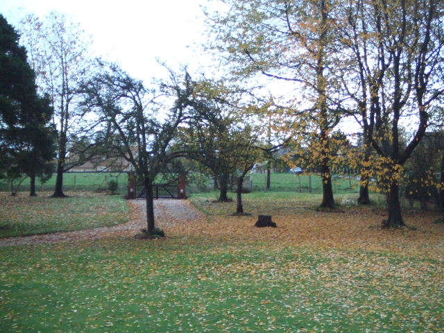 DSCF2837.JPG