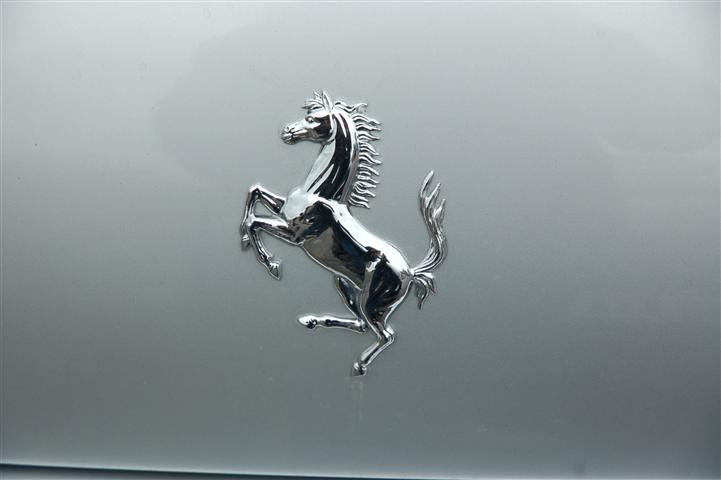 DSC_4519 (Small).JPG