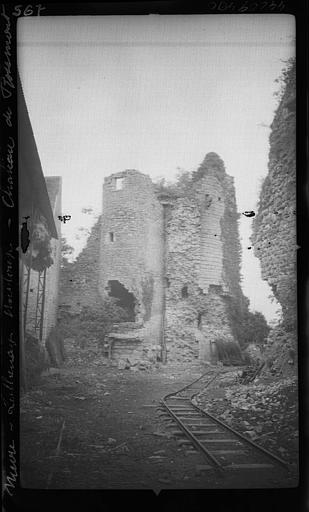 RuineRosemont.jpg
