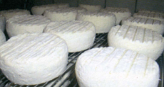 Fromagerie_neuftables.jpg