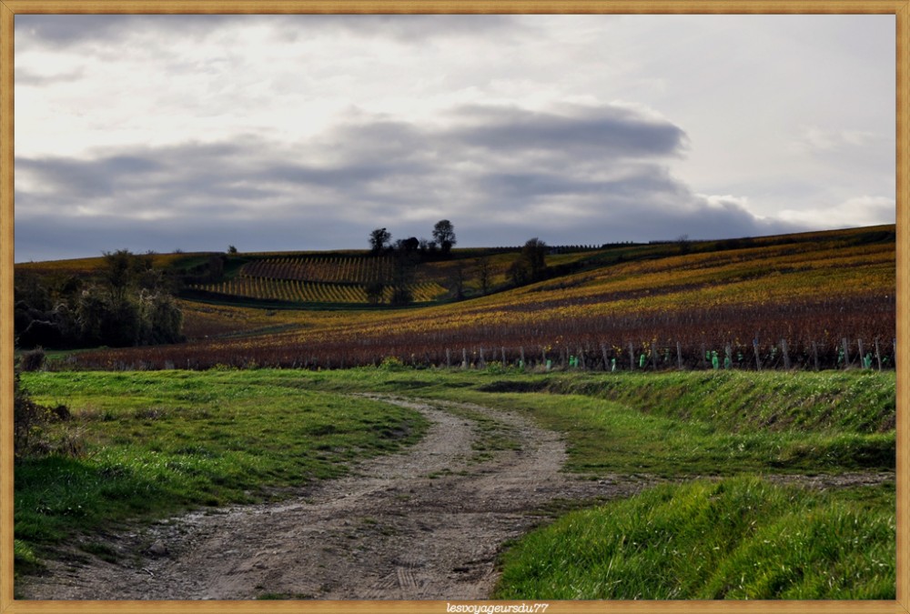 Sancerre5.jpg