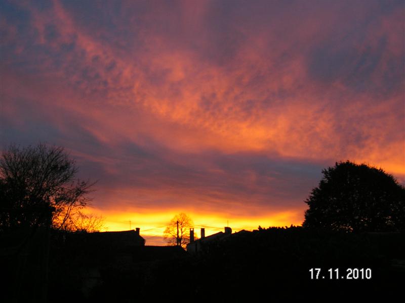 PICT0489 (Medium).JPG