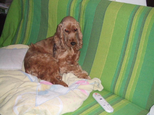 DSCF2846.JPG
