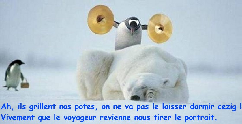 ours77sieste.jpg