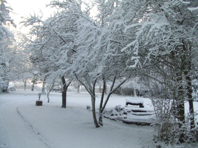 DSCF2865.JPG