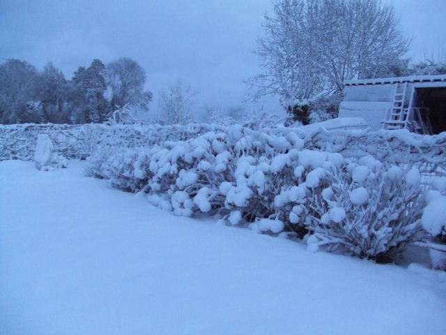 DSCF2863.JPG
