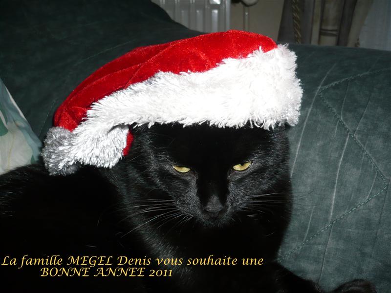 Miquettte.JPG