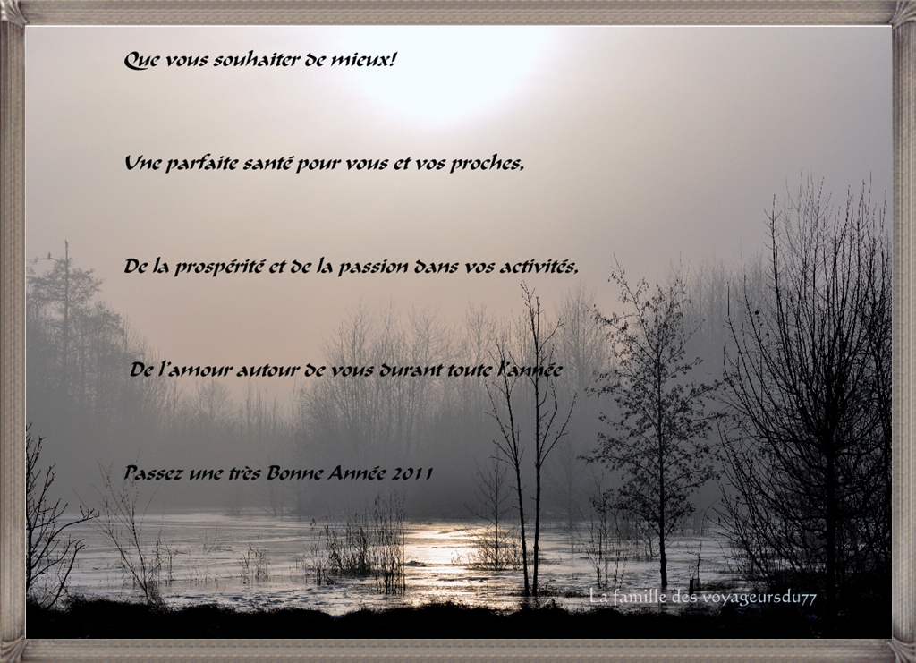 voeux fofo (2).jpg