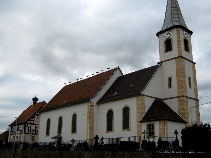 l1.jpg