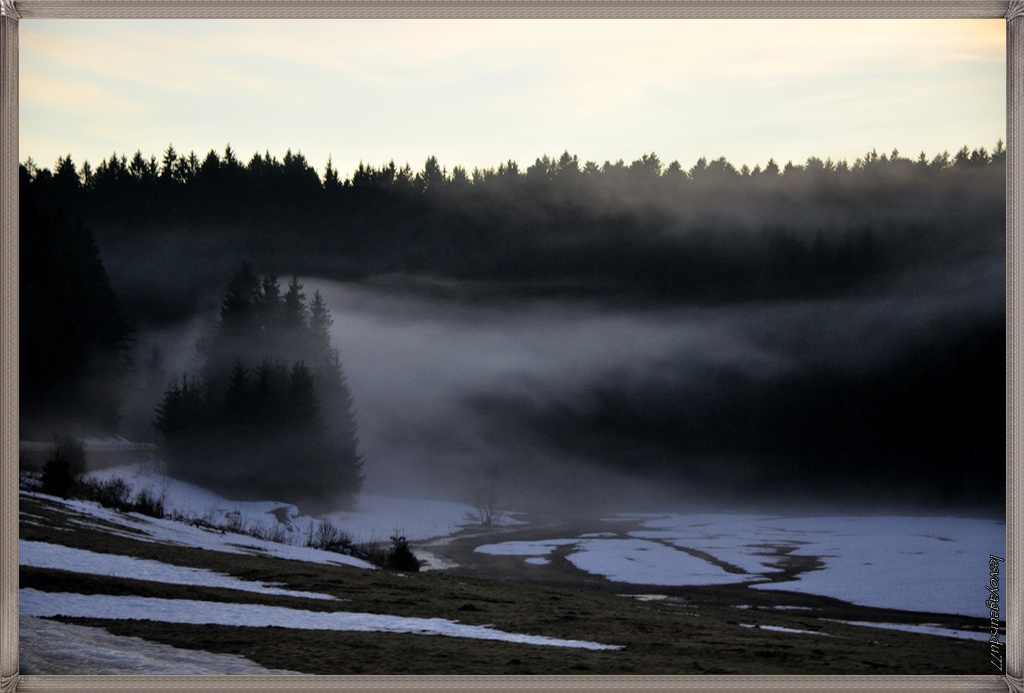 DSC_2834-1.jpg