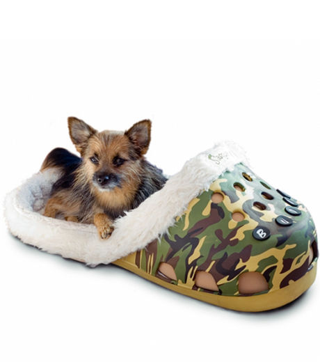 un-lit-pour-chien.jpg