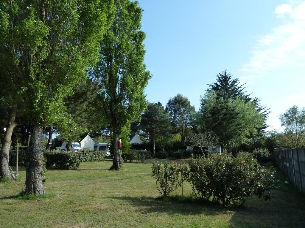 P1000441.jpg