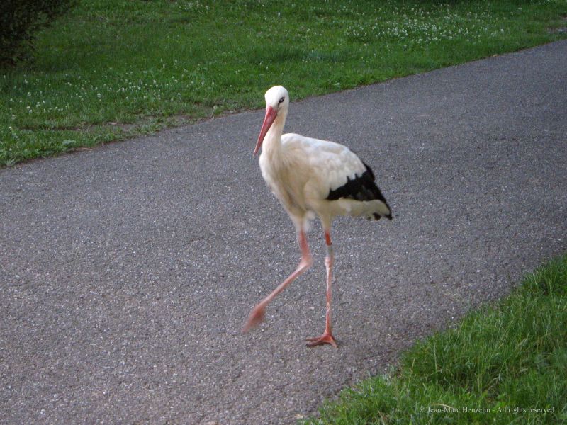 l4.jpg