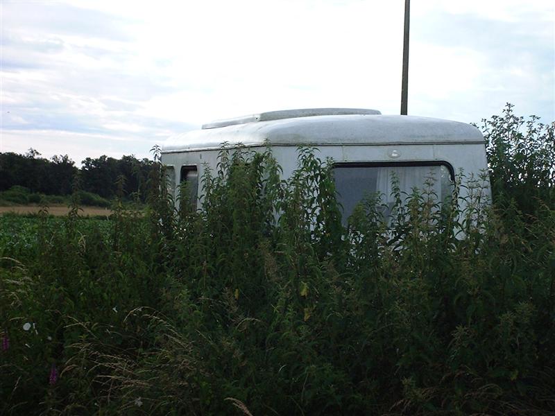 DSCF0025 (Medium).JPG