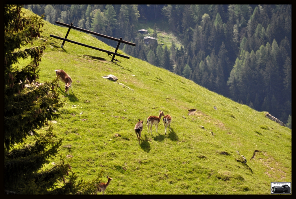 dur la descente.......