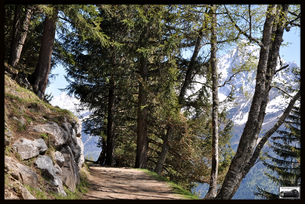 Un petit sentier dans la montagne...