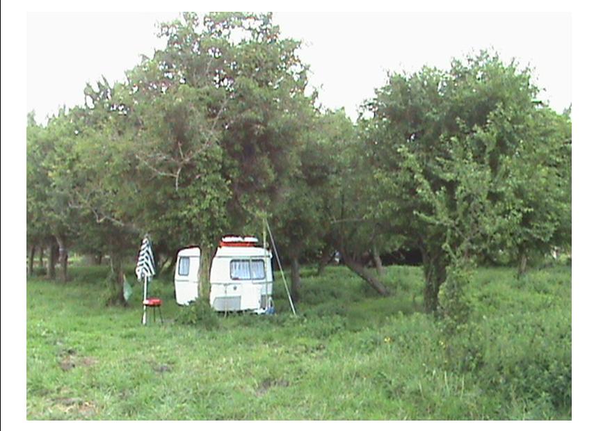 P S 2.jpg
