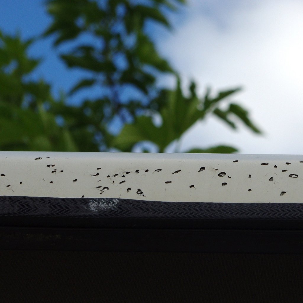 sur le côté du chapeau du toit; sur environ 1 m.