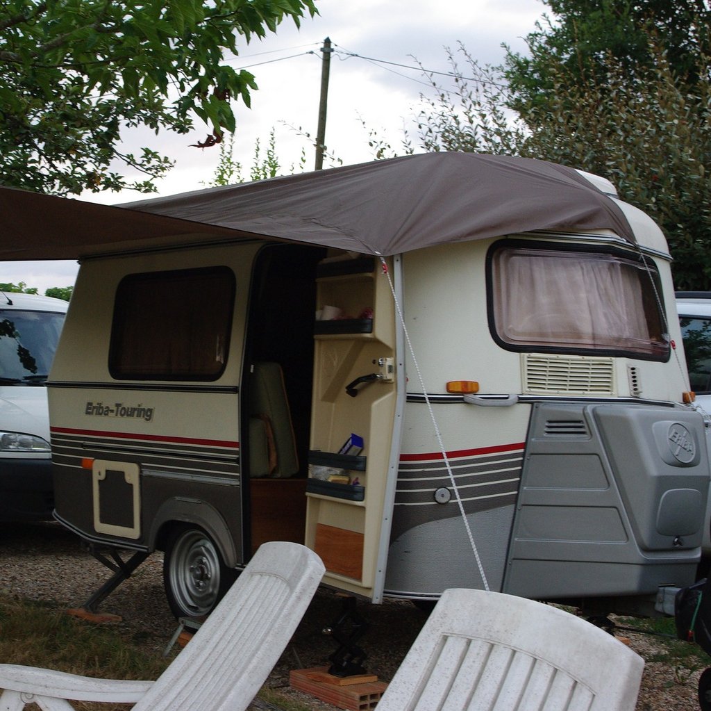 Champignon baissé
