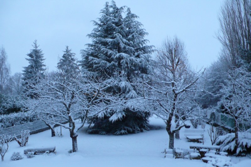 Hiver2012 002.jpg
