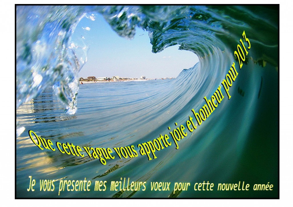 voeux.jpg