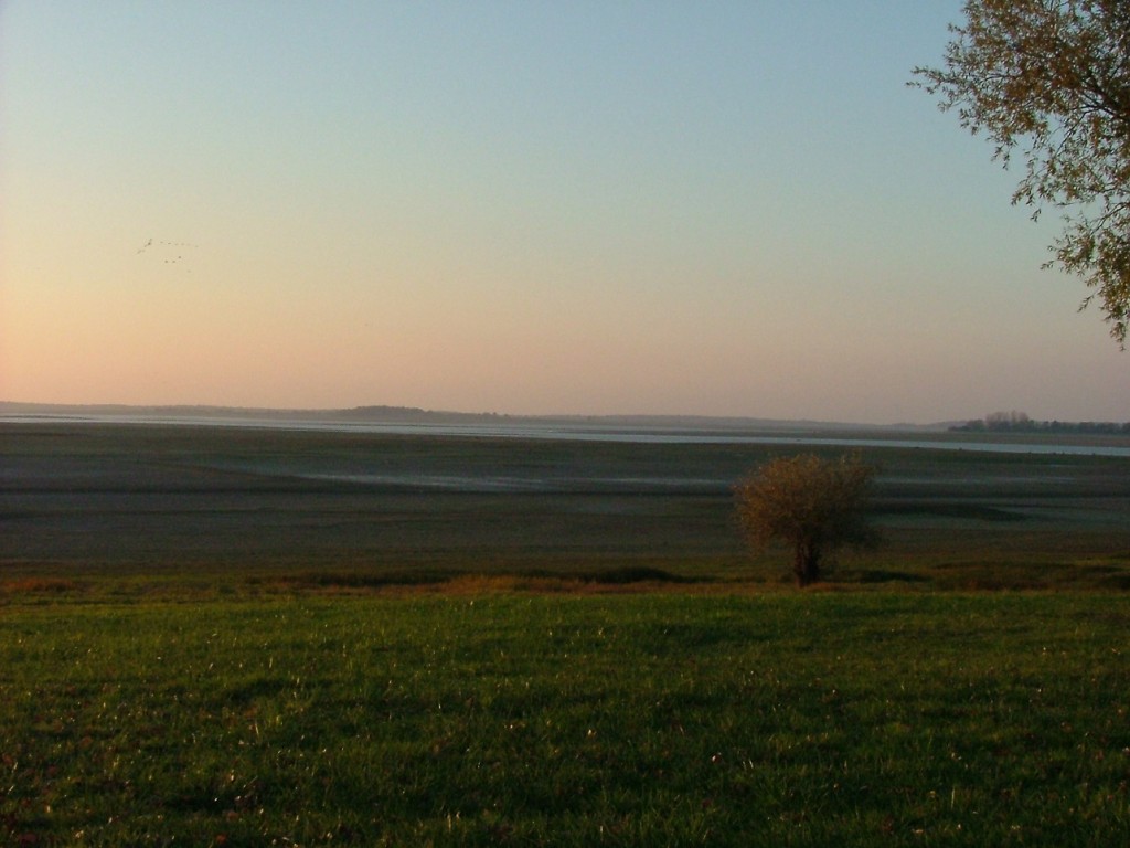 DSCF1730.JPG