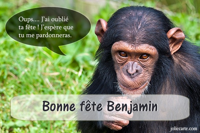 Benjamin2.jpg
