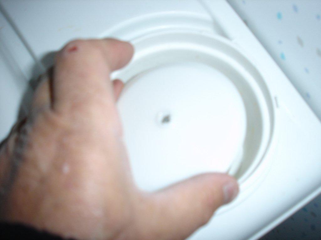 DSC08968.jpg