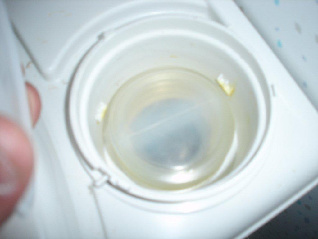 DSC08969.jpg