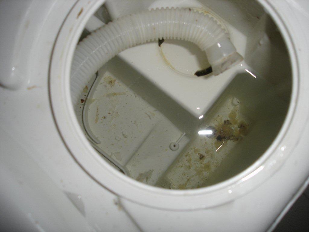 DSC08972.jpg