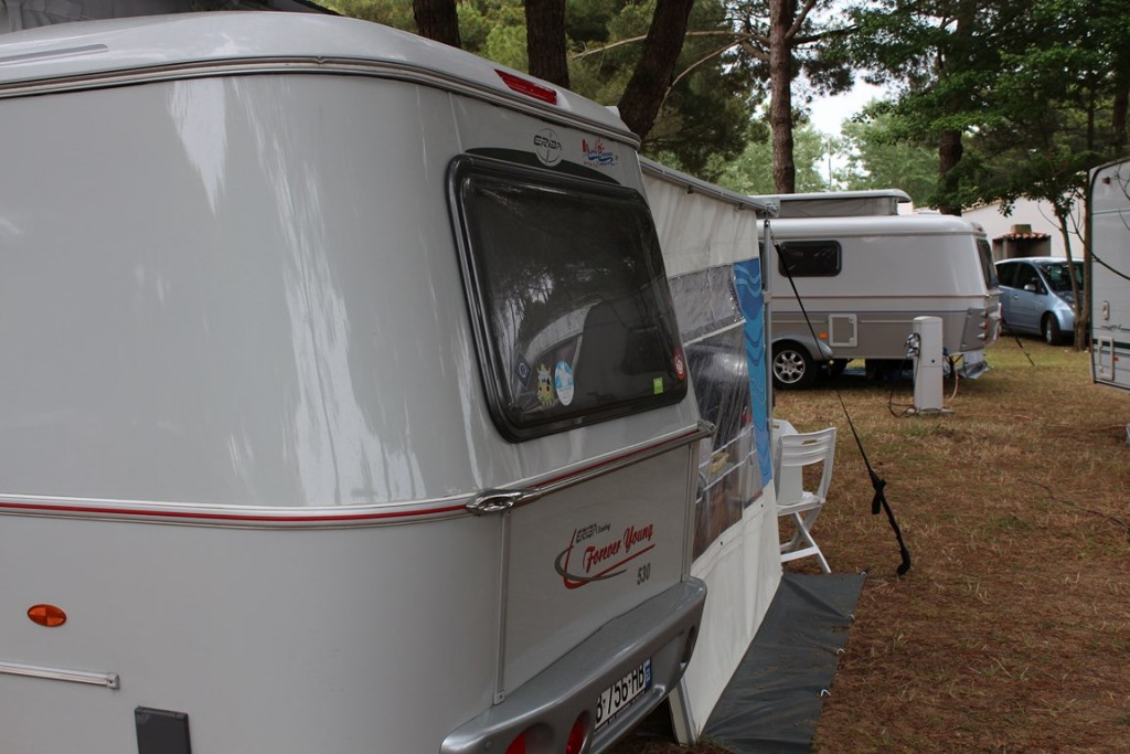 îlederé2013 049 (Copier).JPG