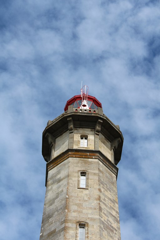 îlederé2013 216 (Copier).JPG