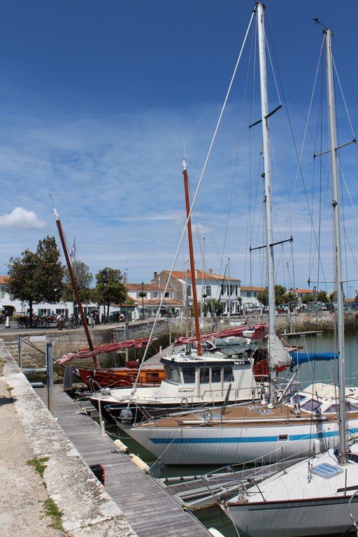 îlederé2013 252 (Copier).JPG