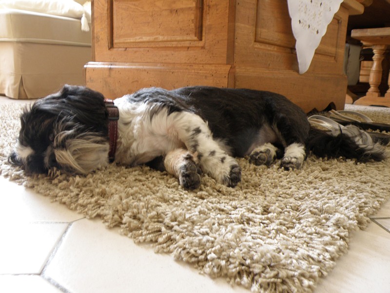 au repos biensur