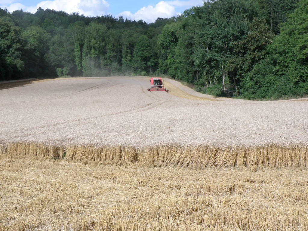 La vallée