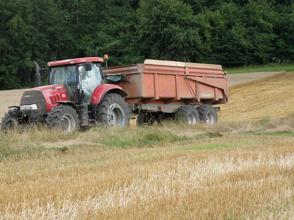 P8130143 (Copier).JPG