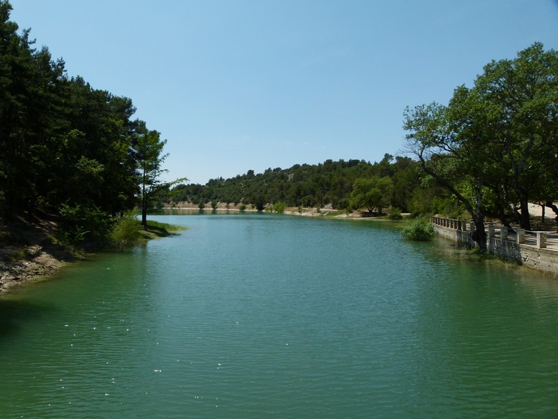 P1020421.JPG