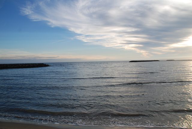 DSC_4436.JPG